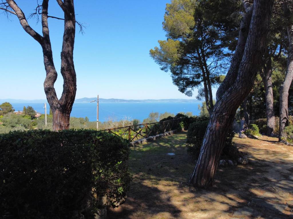 Villa a Monte argentario in Località Poggio San Giorgio - Foto 2