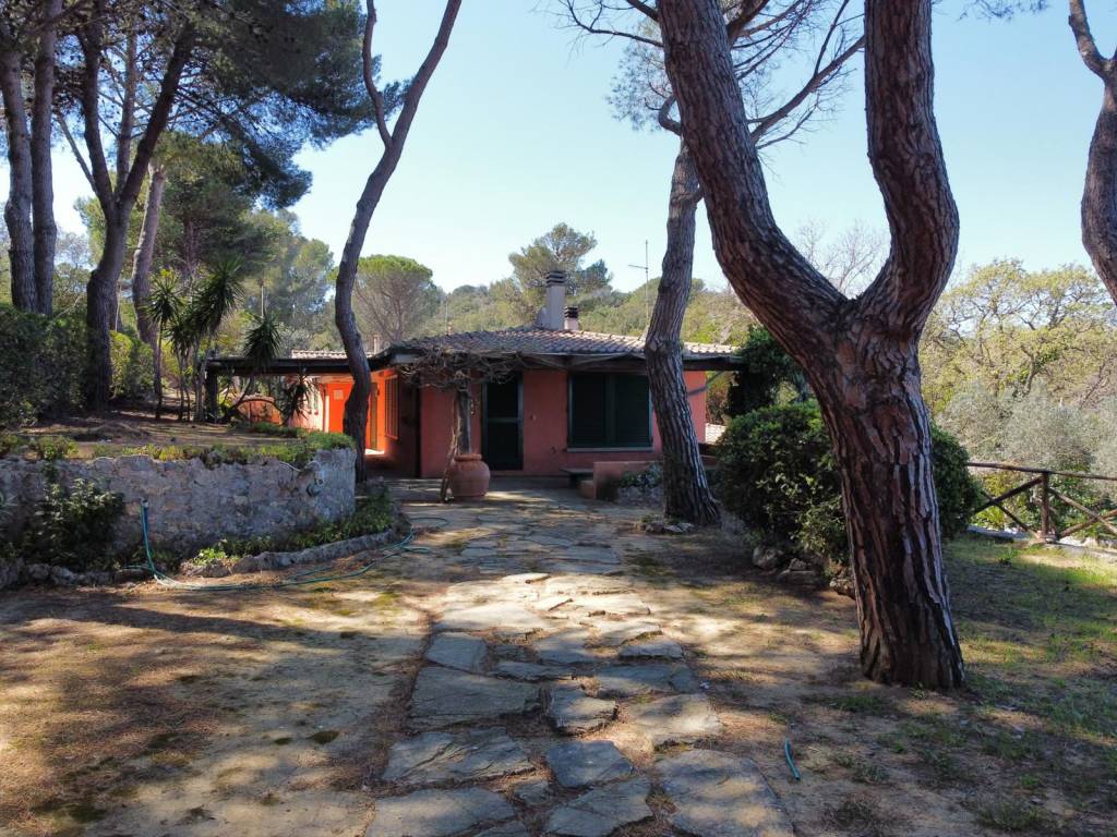 Villa a Monte argentario in Località Poggio San Giorgio - Foto 3