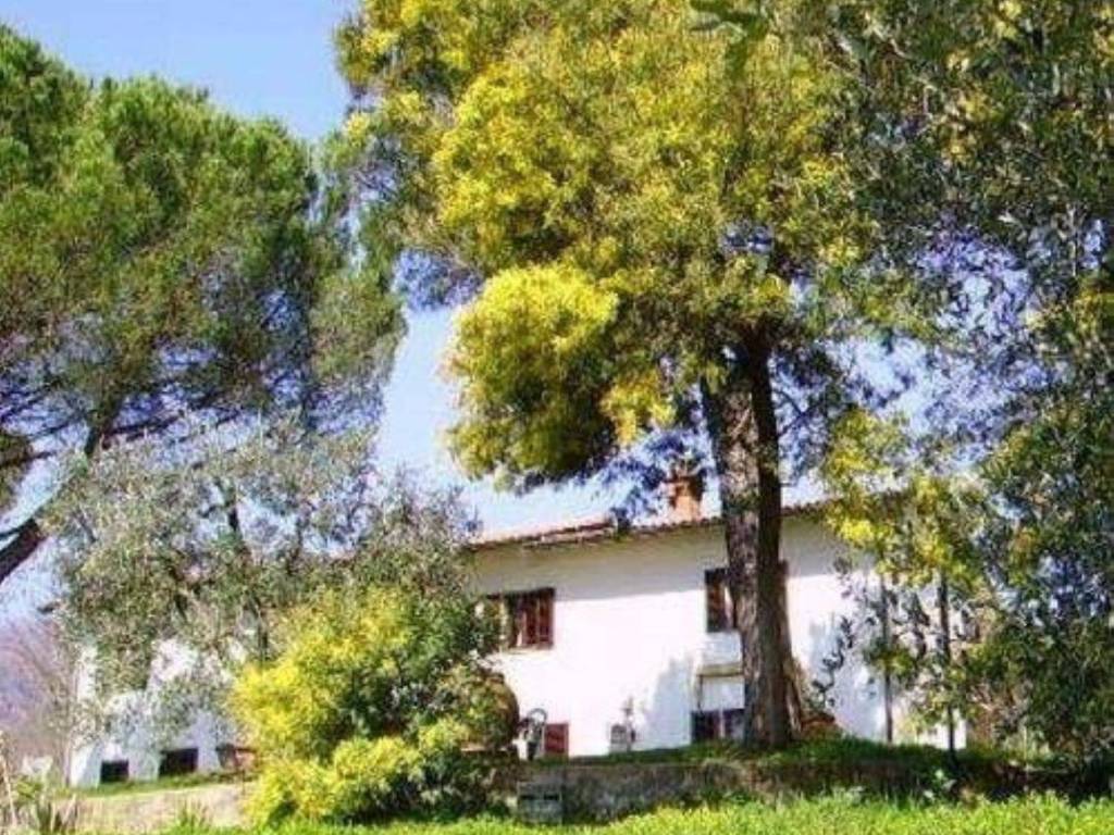 Rustico / casale a Monsummano terme in Via del Portone - Foto 2