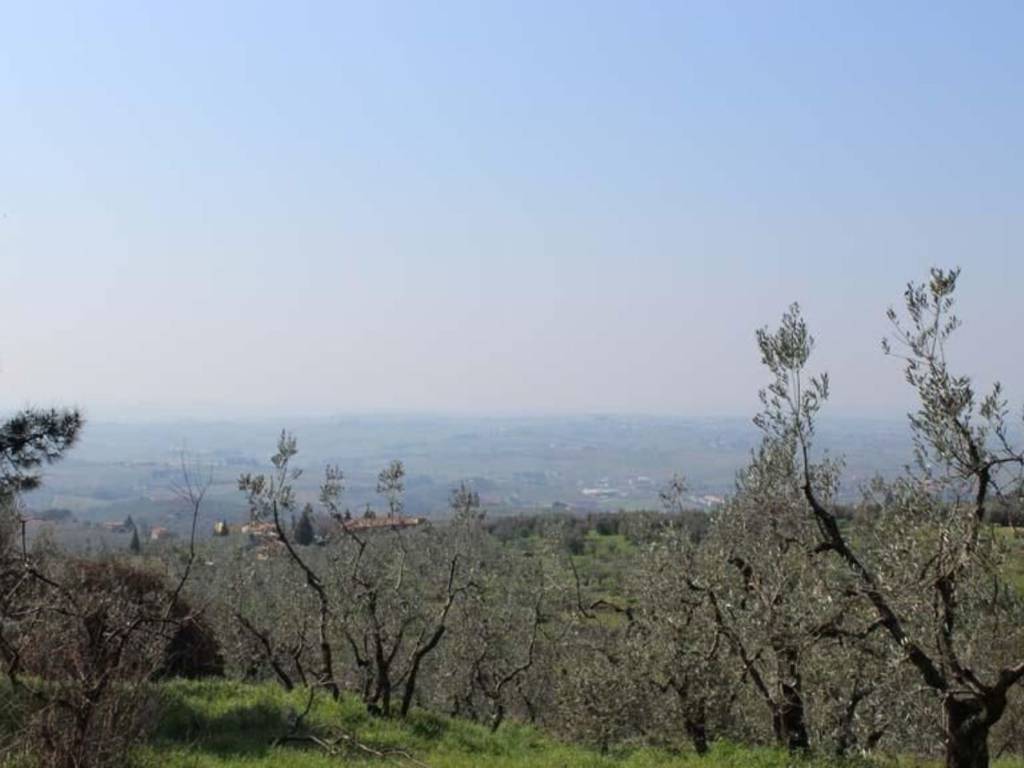 Rustico / casale a Vinci - Foto 2