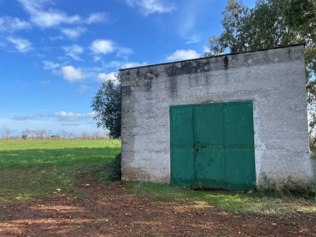 Rustico / casale a Ostuni in Contrada Giovannarolla - Foto 2