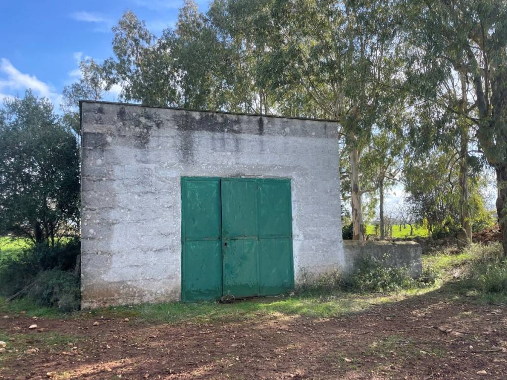 Rustico / casale a Ostuni in Contrada Giovannarolla - Foto 3