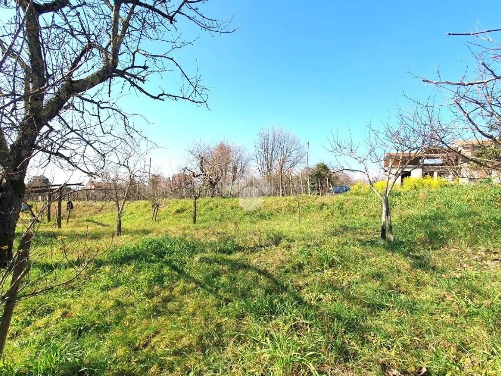 Villa a Serrone in Via Colli, 33 - Foto 5