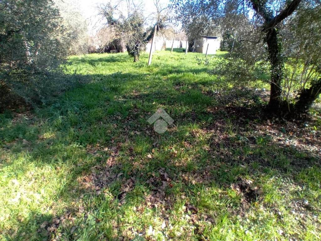 Terreno a Terni in Strada del Cerqueto - Foto 5