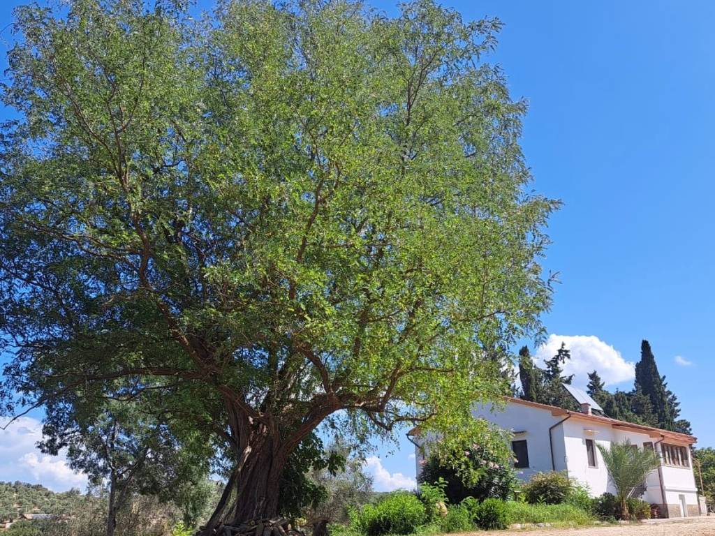 Villa a Campiglia marittima in Via di Cafaggio - Foto 2