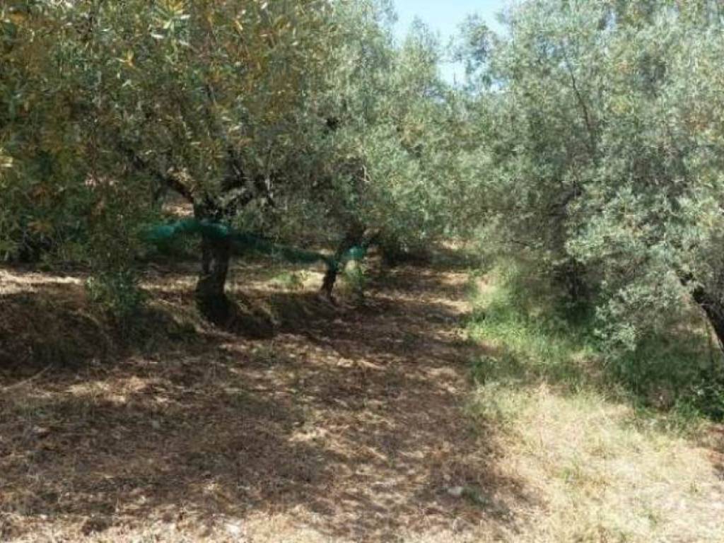 Terreno a Battipaglia in Via Garezzano - Foto 4