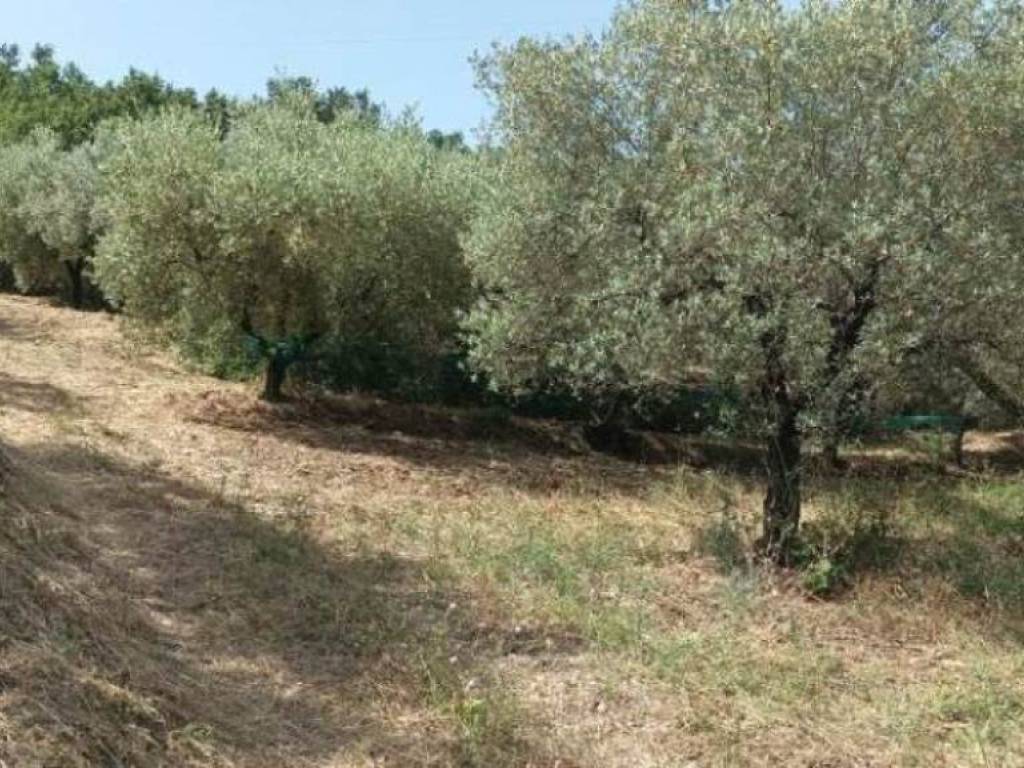 Terreno a Battipaglia in Via Garezzano - Foto 5