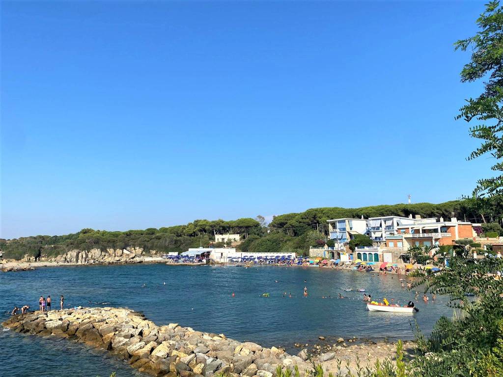 Appartamento a Tarquinia in Via Ugo Neri - Foto 3