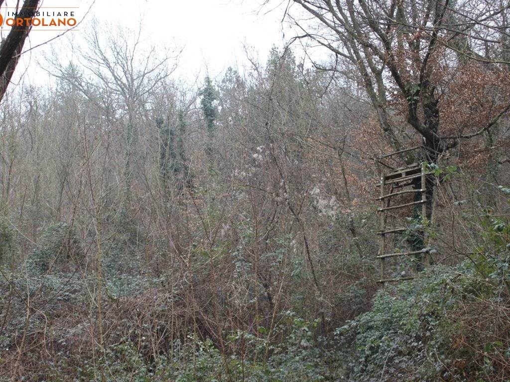 Terreno a Sagrado - Foto 3