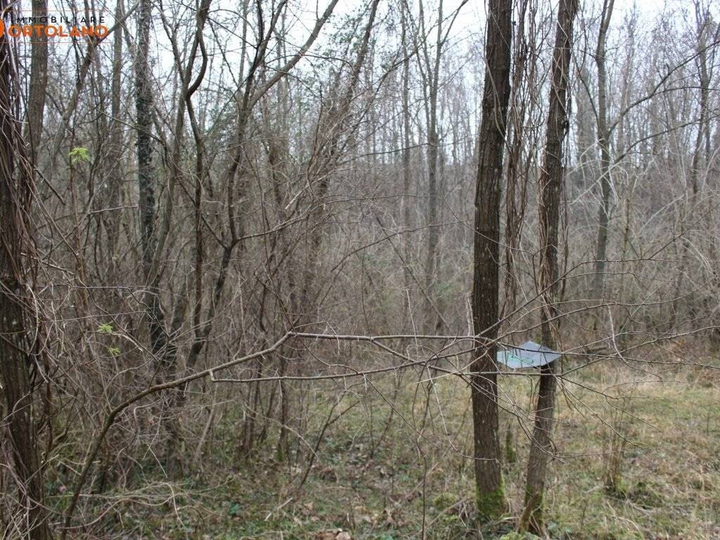 Terreno a Sagrado - Foto 5