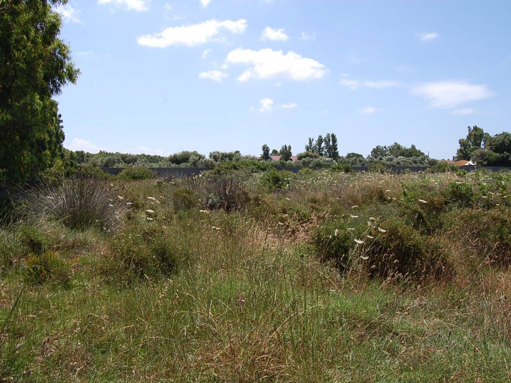 Terreno a San giovanni suergiu in SP75 - Foto 2