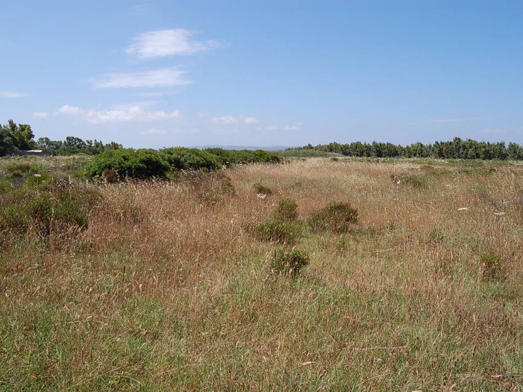 Terreno a San giovanni suergiu in SP75 - Foto 3