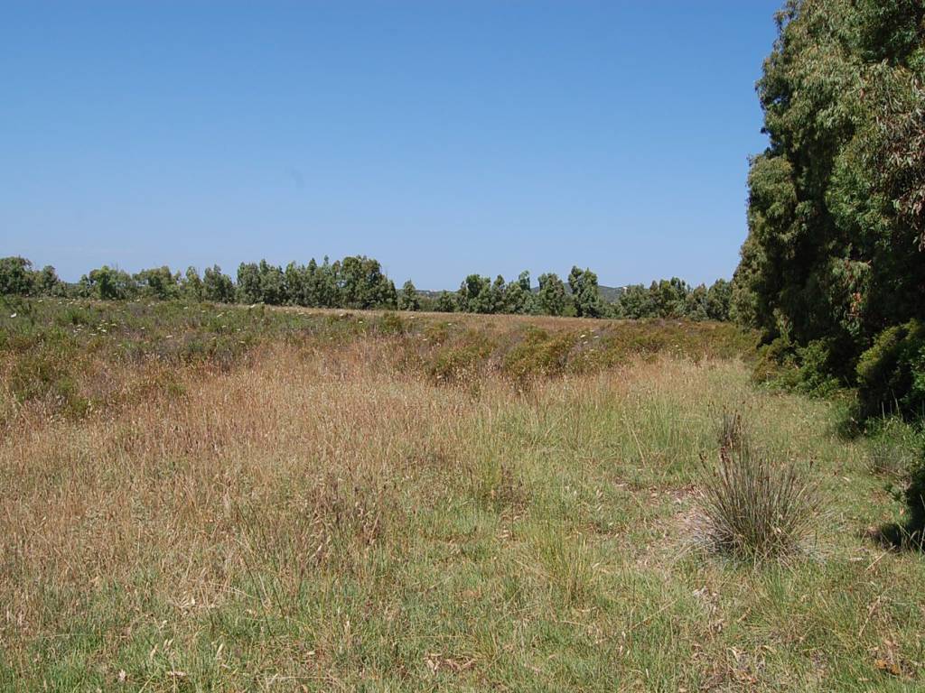 Terreno a San giovanni suergiu in SP75 - Foto 4