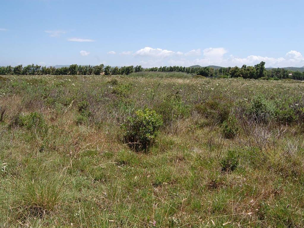 Terreno a San giovanni suergiu in SP75 - Foto 5