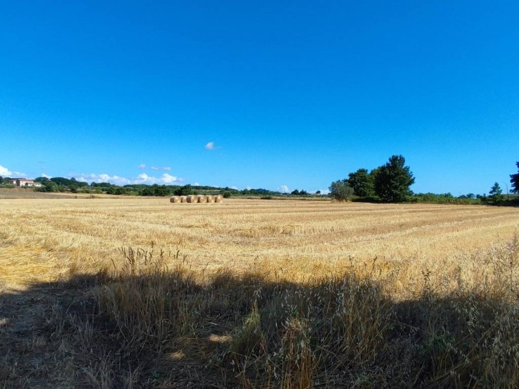 Terreno a Pitigliano in Strada Provinciale Pantano - Foto 2