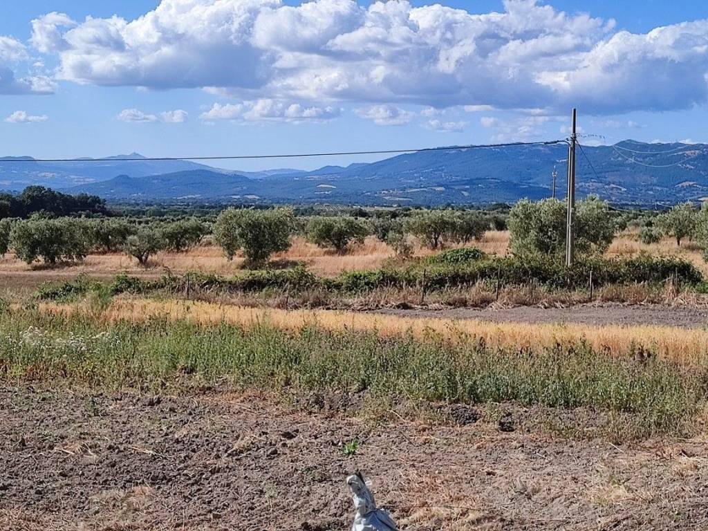 Terreno a Pitigliano in Strada Provinciale Pantano - Foto 3