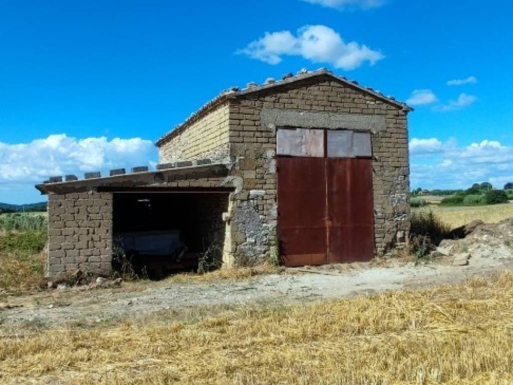 Terreno a Pitigliano in LocalitÃ Pantano - Foto 4