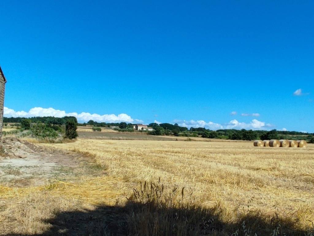 Terreno a Pitigliano in Strada Provinciale Pantano - Foto 4