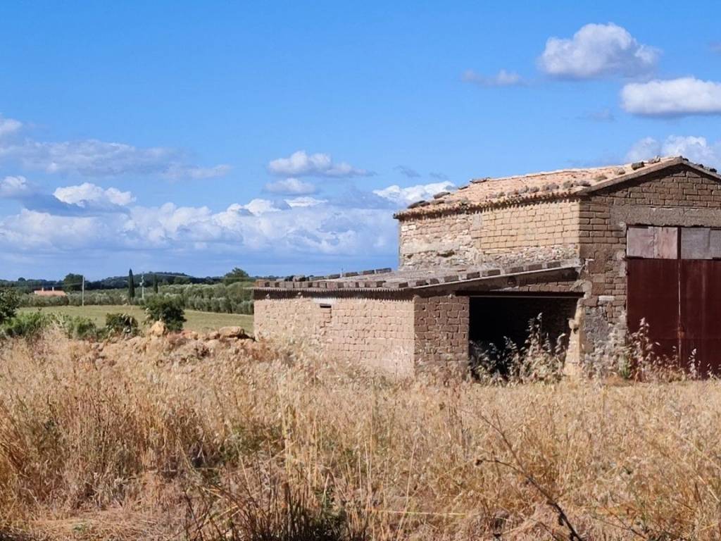 Terreno a Pitigliano in LocalitÃ Pantano - Foto 5