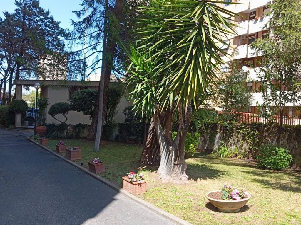 Appartamento a Roma in Via Camillo Pilotto, 95 - Foto 5
