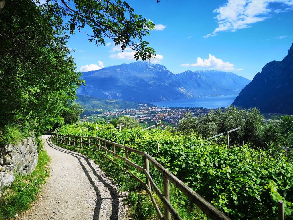 Immobile a Arco in Via Monte Brione - Foto 5