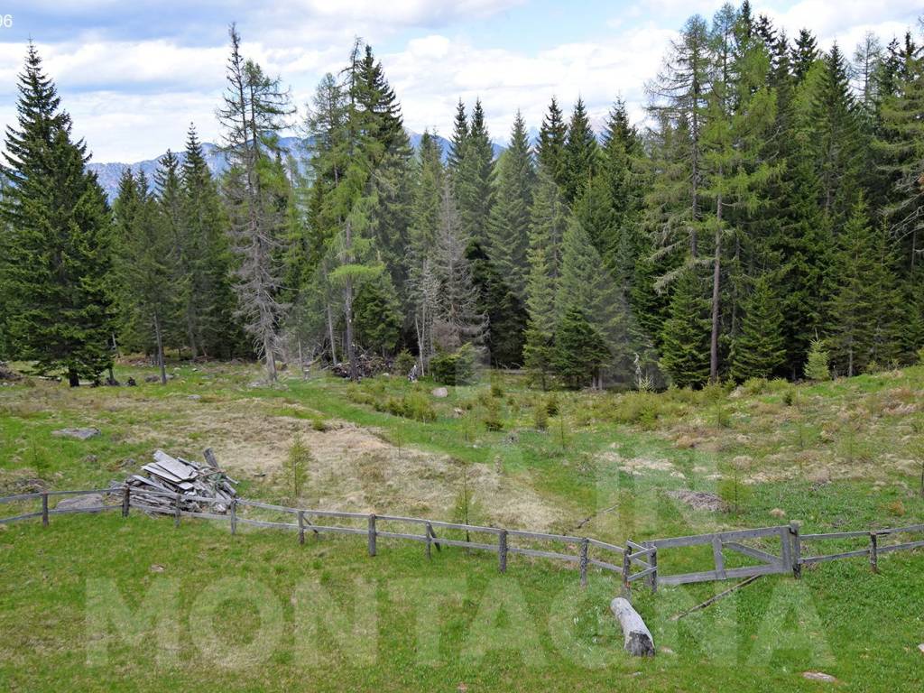 Rustico / casale a Valfloriana in Frazione Sicina - Foto 5