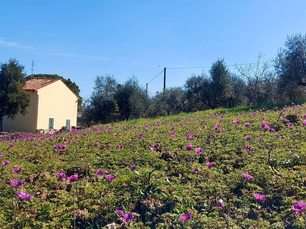 Villa a Carmignano in Via Calcinaia, 35 - Foto 5