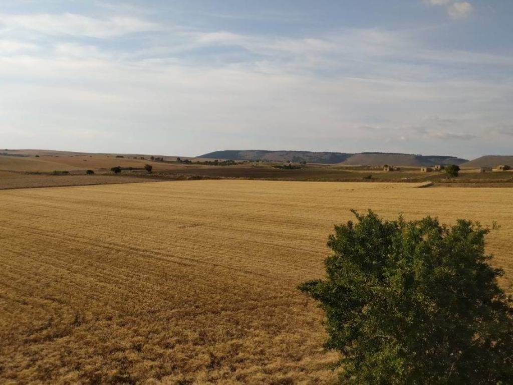 Terreno a Spinazzola in 21 ARCHI - Foto 4