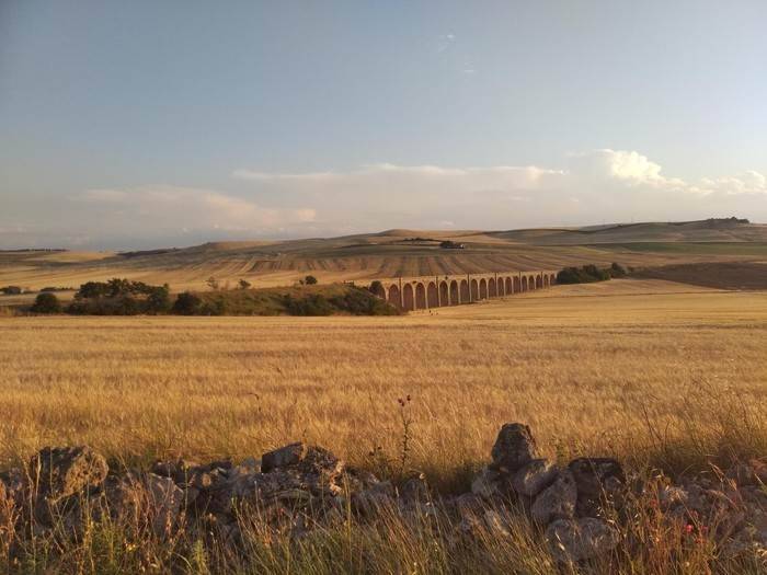Terreno a Spinazzola in 21 ARCHI - Foto 5