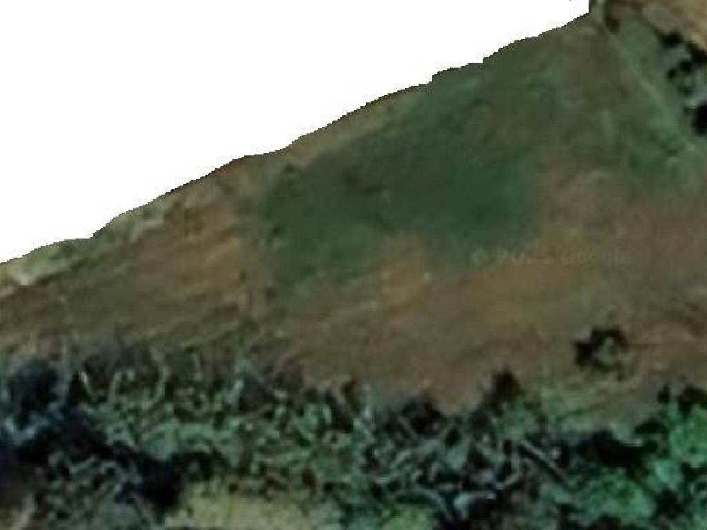 Terreno a Cecina - Foto 2