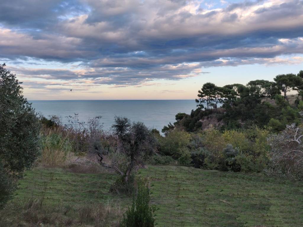Rustico / casale a Cupra marittima - Foto 2