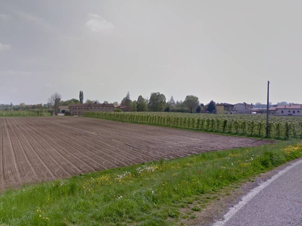 Terreno a Pernumia - Foto 2