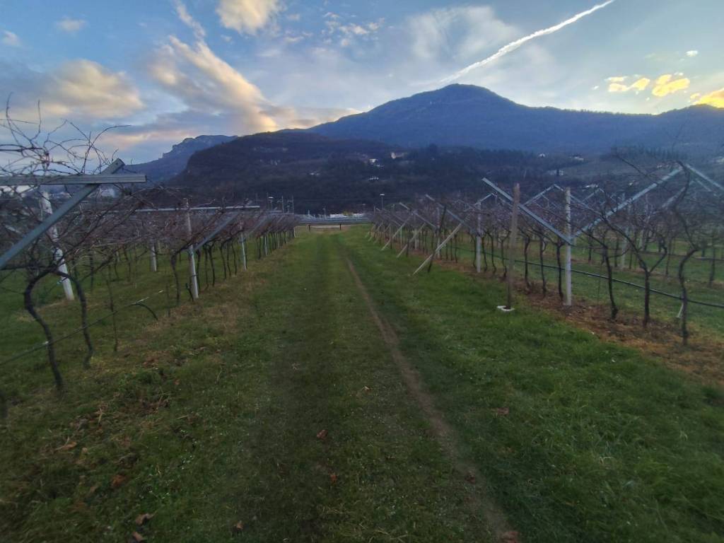 Terreno a Trento in Tangenziale Sud - Foto 3