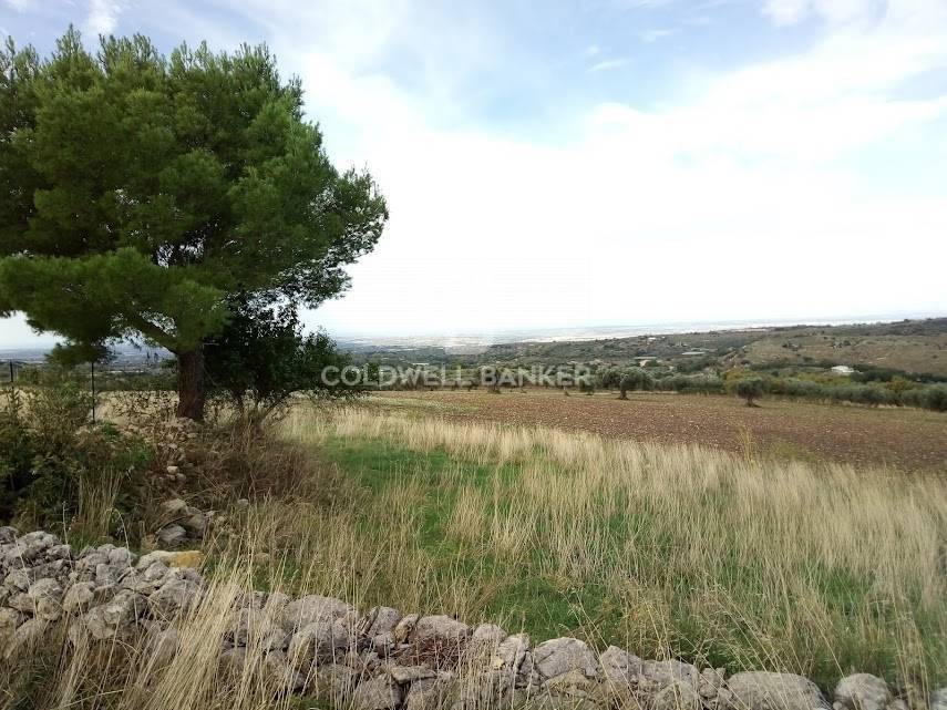 Rustico / casale a Chiaramonte gulfi in C.da Cacciatore - Foto 5