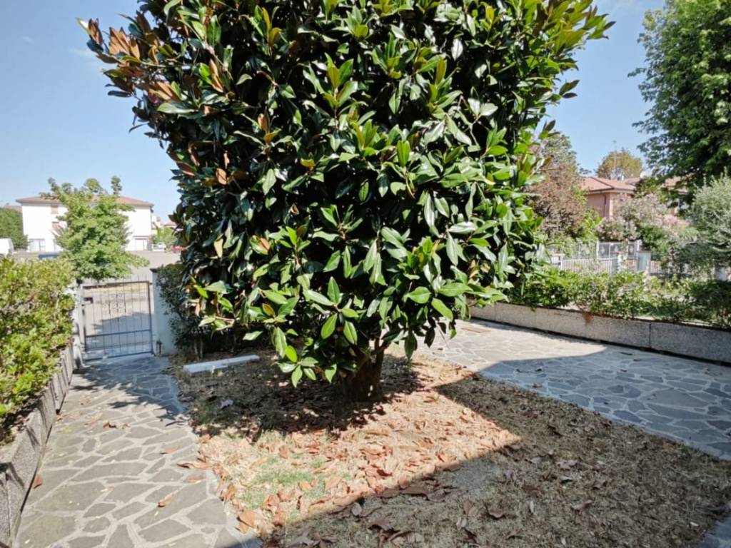 Villetta a schiera a Carpi - Foto 5