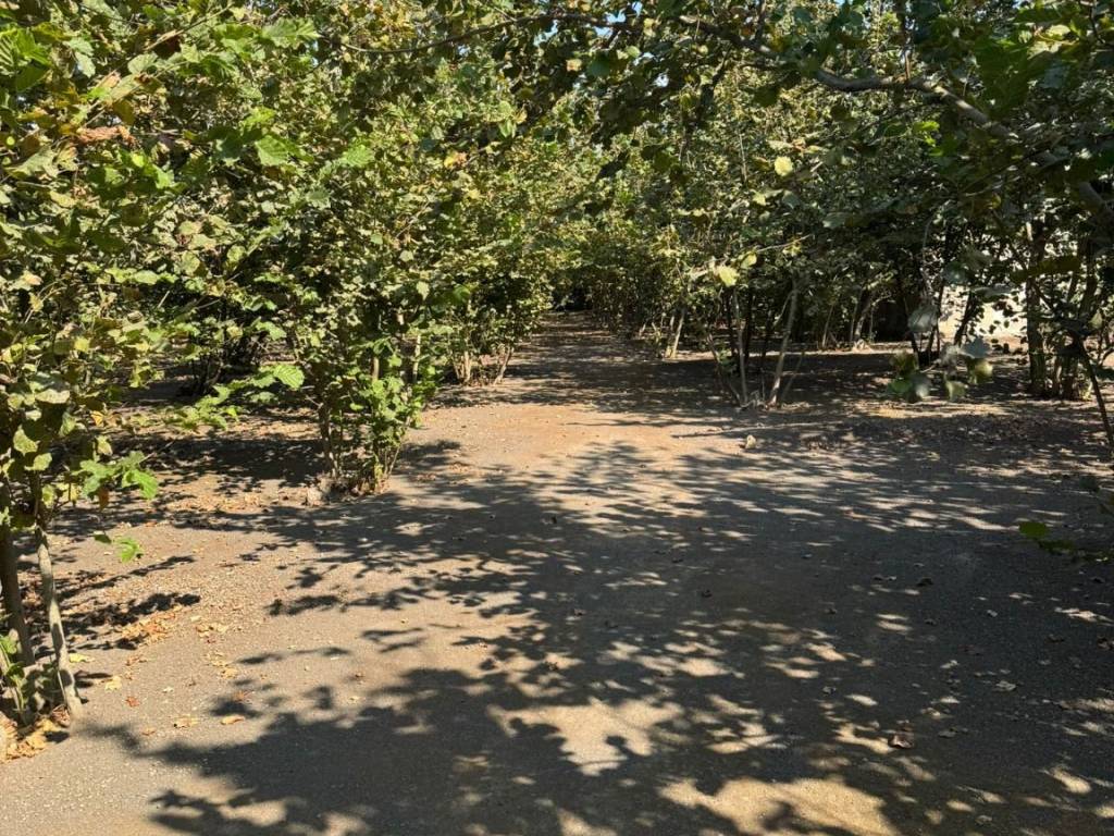 Terreno a Striano - Foto 2