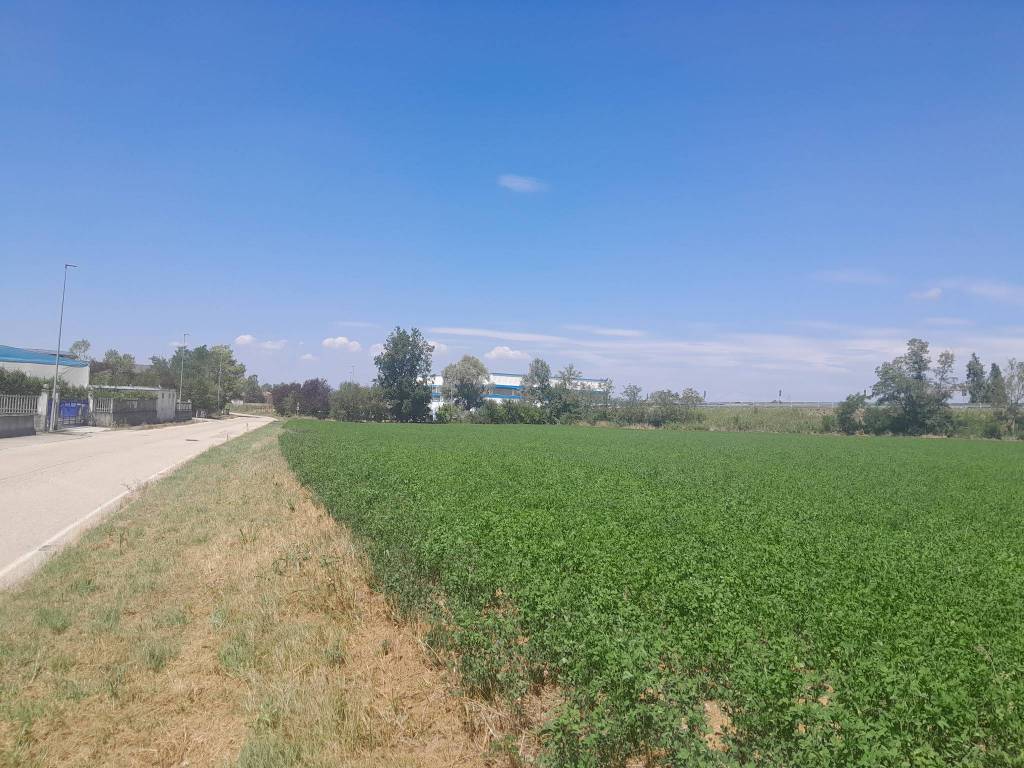 Terreno a Villanova d'asti in Strada di Valminier, 13 - Foto 3