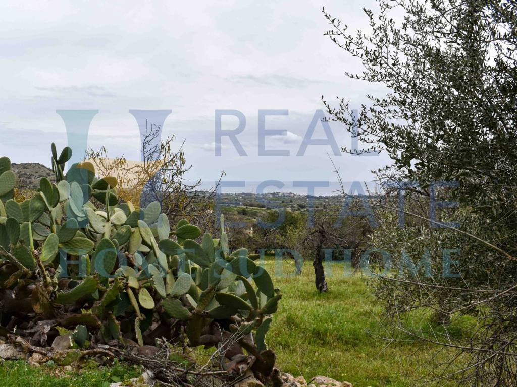 Terreno a Avola in Via Principe Antonio De Curtis, 1 - Foto 4