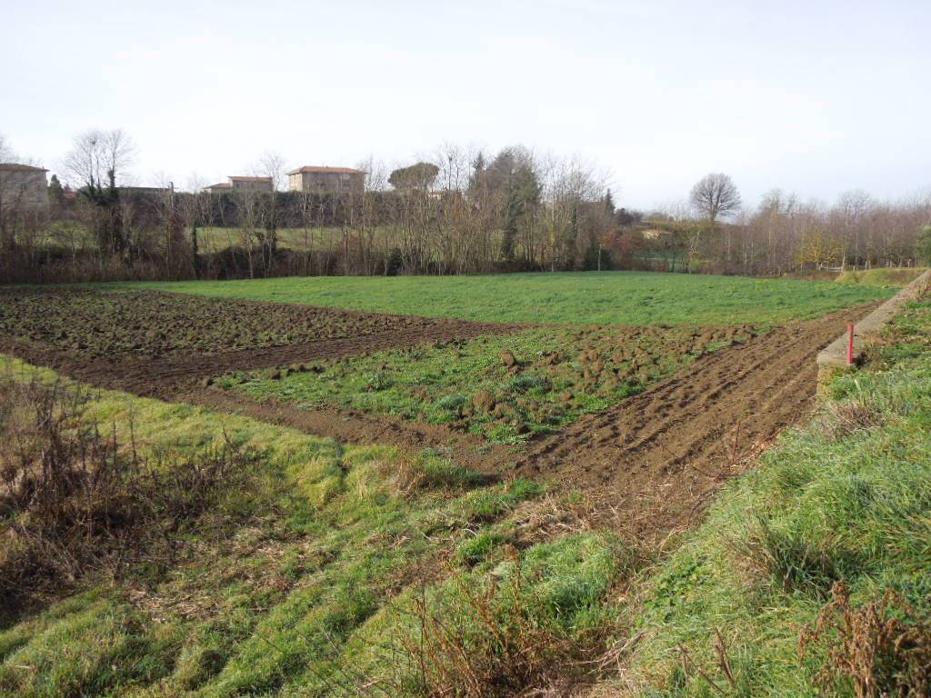 Terreno a Sorano in Strada Regionale Maremmana - Foto 2