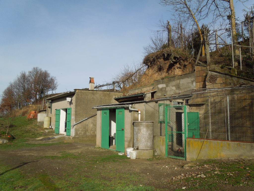 Terreno a Sorano in Strada Regionale Maremmana - Foto 3