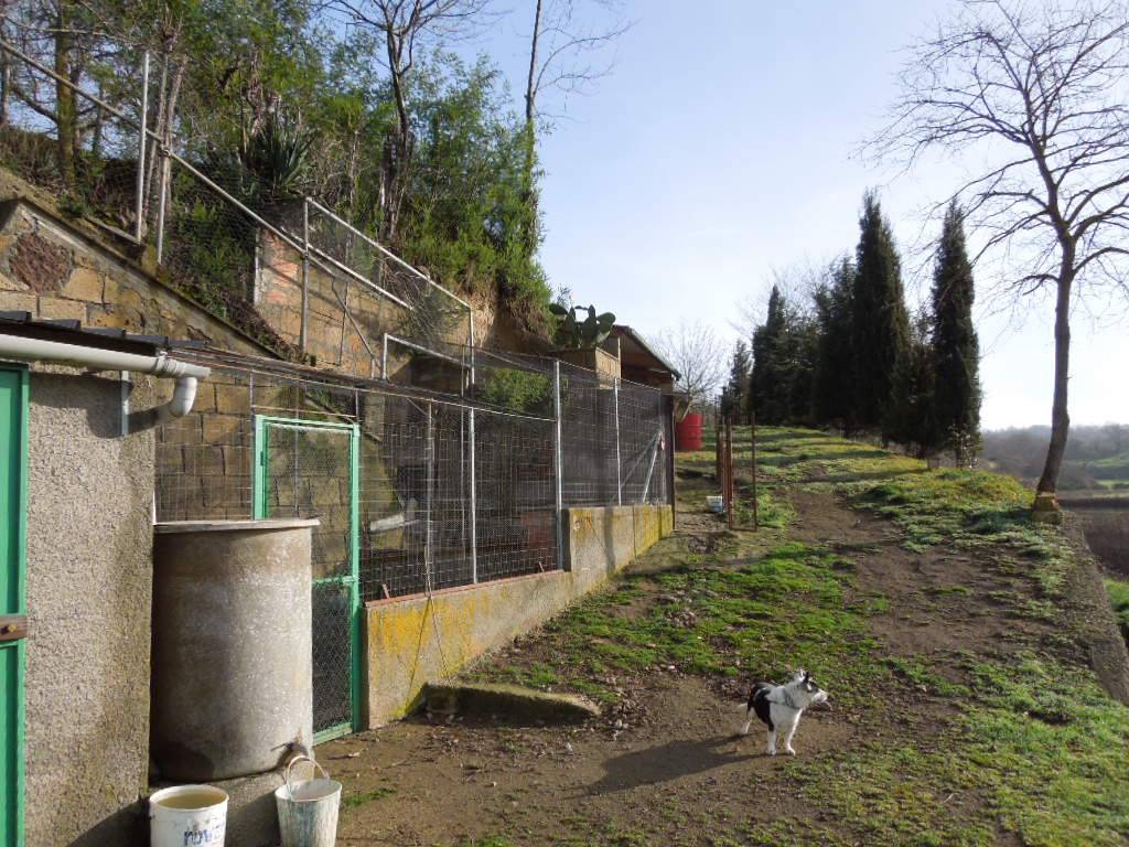 Terreno a Sorano in Strada Regionale Maremmana - Foto 4