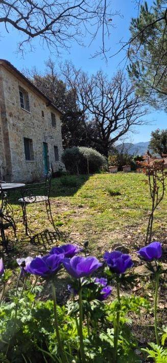 Rustico / casale a Seggiano in Strada Vicinale delle Pozze - Foto 3