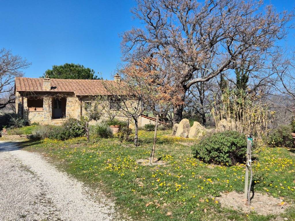 Rustico / casale a Seggiano in Strada Vicinale delle Pozze - Foto 5