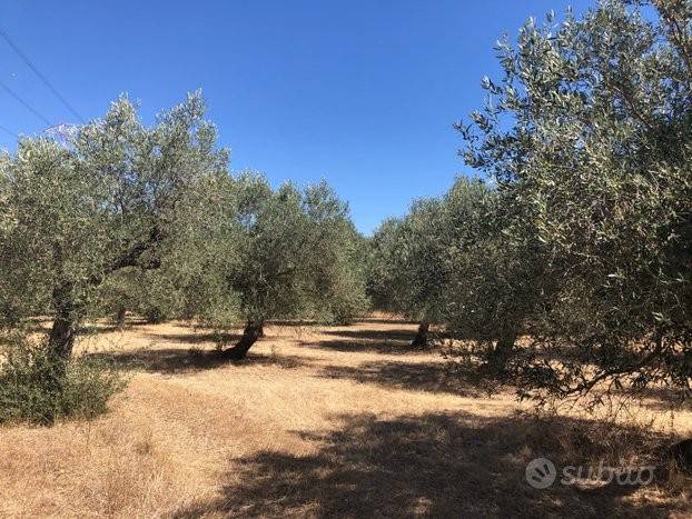Terreno a Monastir in 09023 Monastir SU, Italia - Foto 2