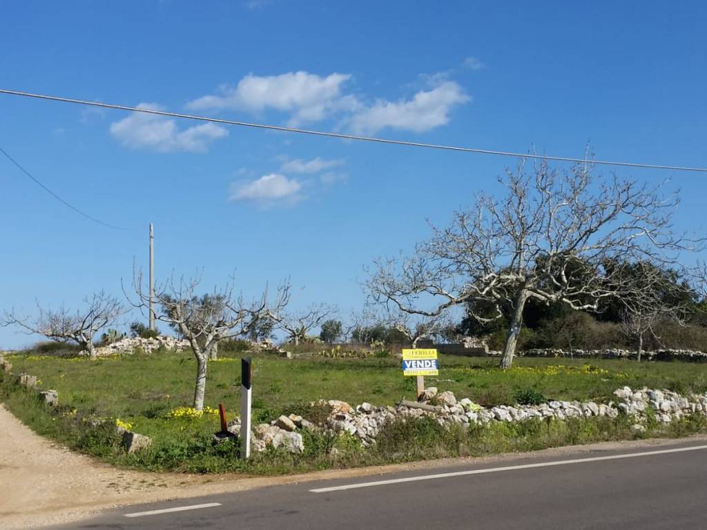 Terreno a Alessano - Foto 2