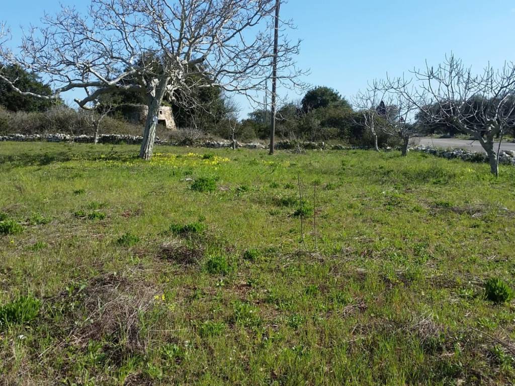 Terreno a Alessano - Foto 3