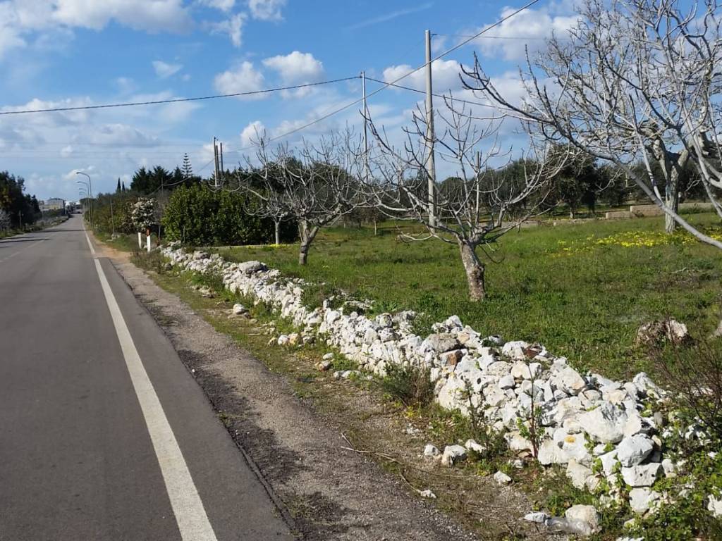 Terreno a Alessano - Foto 4