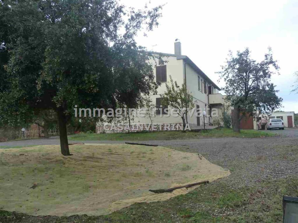 Immobile a Campagnatico in LOCALITA MANZINELLO , - Foto 4