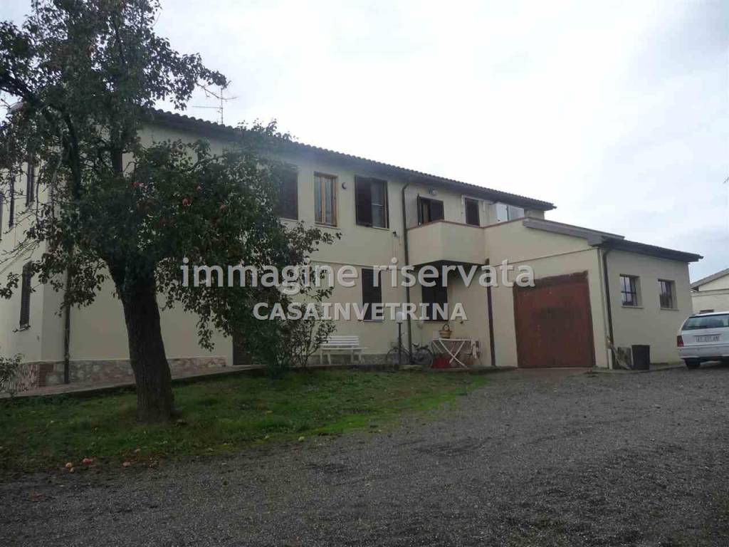 Immobile a Campagnatico in LOCALITA MANZINELLO , - Foto 5