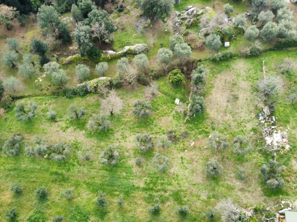 Terreno a Roccagorga in Strada Provinciale Roccheggiana, 831 - Foto 3